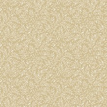 Obrazek Borosan 21 - 8612