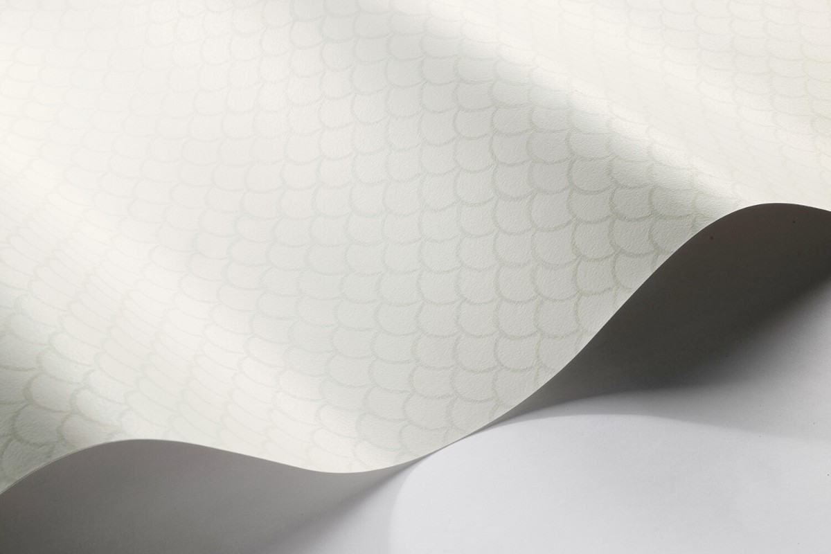 Image de Borosan 21 - 8622