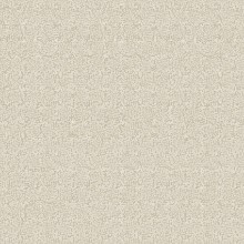 Bild von Borosan 21 - 8629