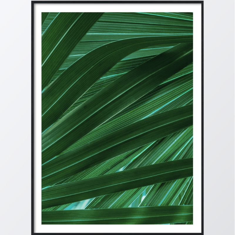 Tropical palm leaf juliste valmistajalta | Kotitapetti