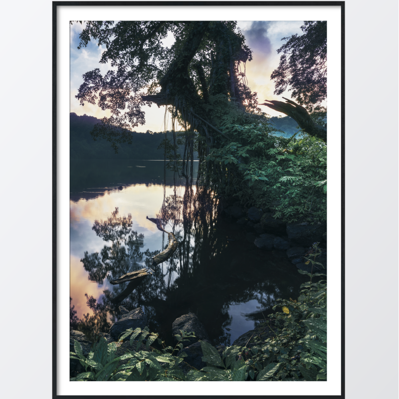 Bild på In the jungle poster