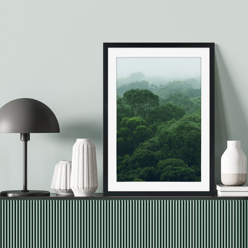 Picture of Rainforest jungle plakat