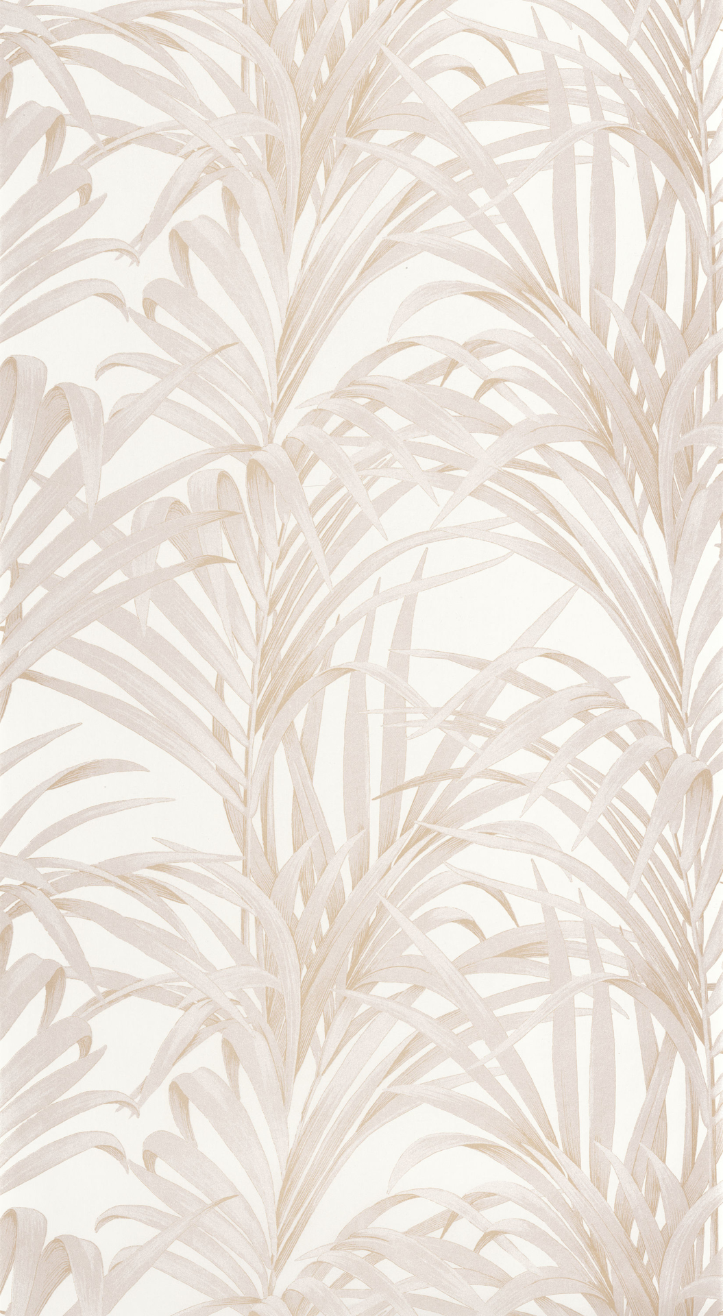 Image de 1930 Fougeres Beige - MNCT28921108