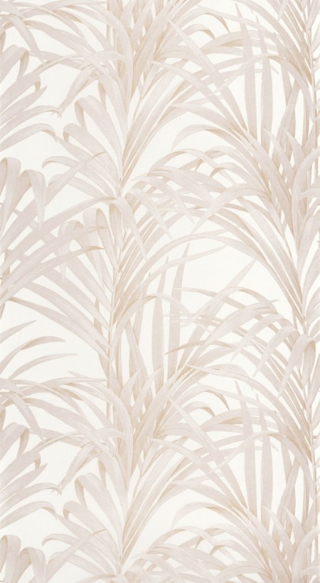 Immagine di 1930 Fougeres Beige - MNCT28921108