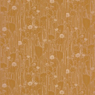 Pilt Botanica Cactaceae Jaune Curry - BOTA85922376