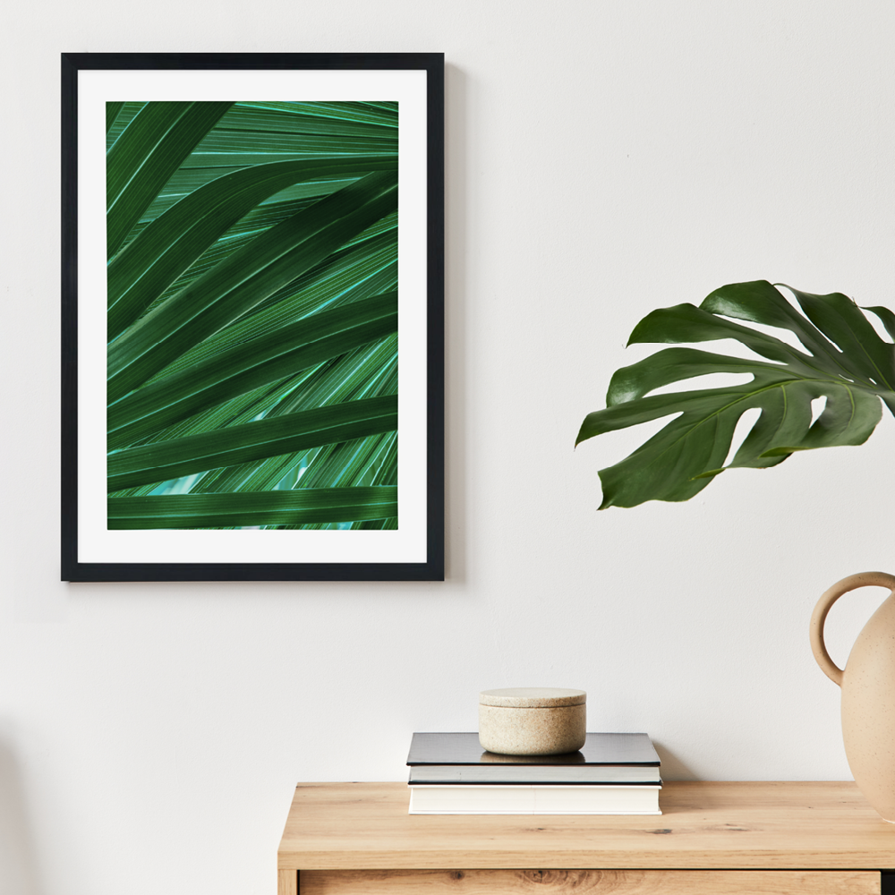 Tropical palm leaf juliste valmistajalta | Kotitapetti