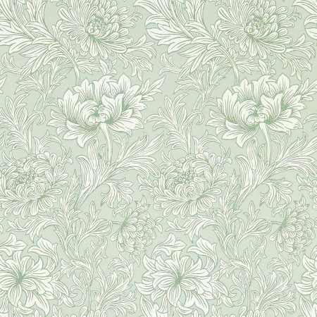 Bild von Chrysanthemum Toile Willow - 217069