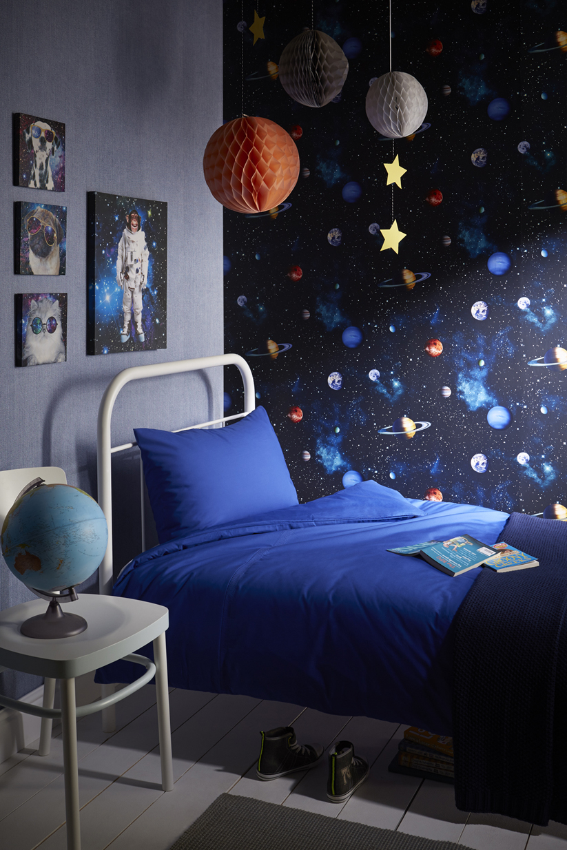 Afbeeldingen van Cosmos Charcoal - 668100