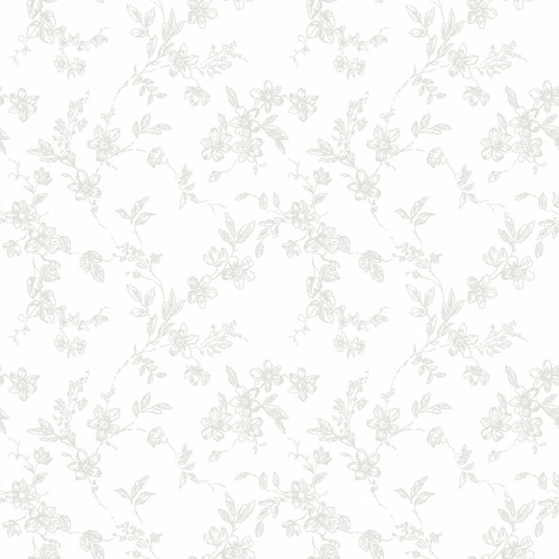 Bild von Bella - 366-01