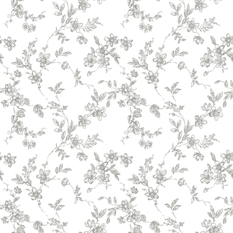 Ritratt ta’ Bella - 366-03