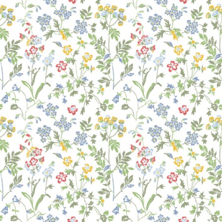 Bild von Juni - 378-02