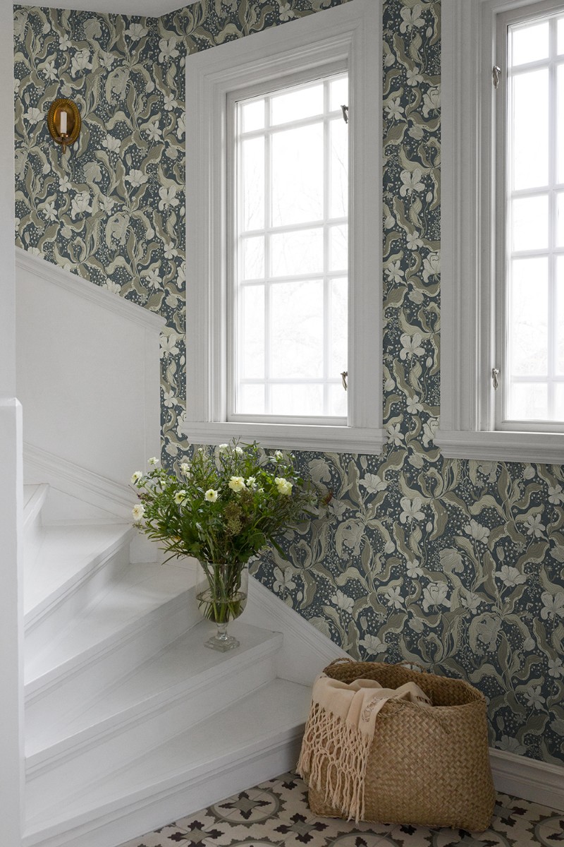 Εικόνα της Bodri - 65117