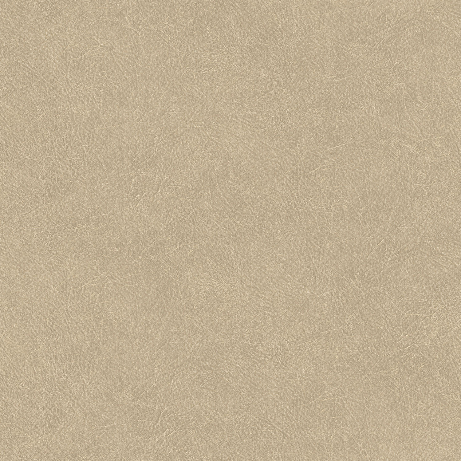 Bild på Leather Plain - TA25021