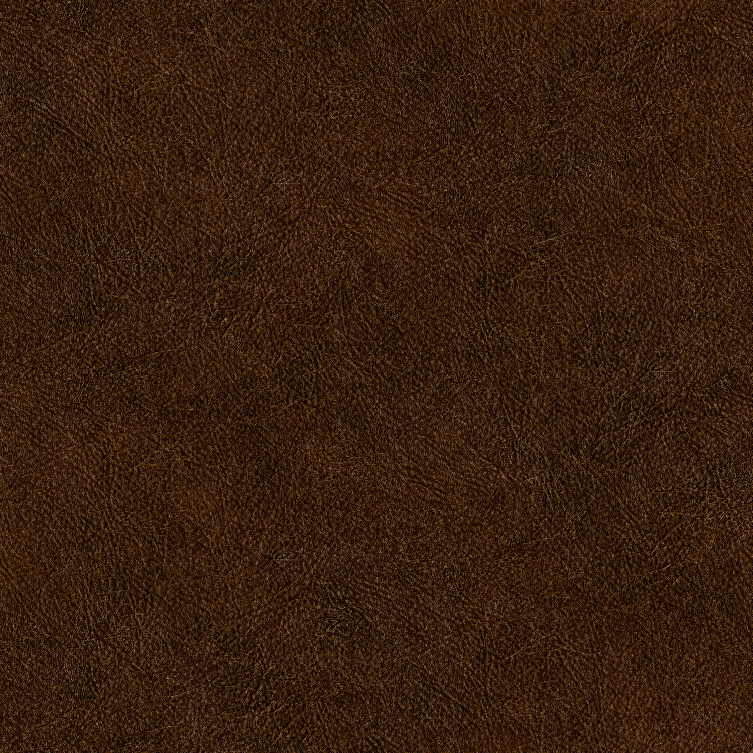 Bild på Leather Plain - TA25025
