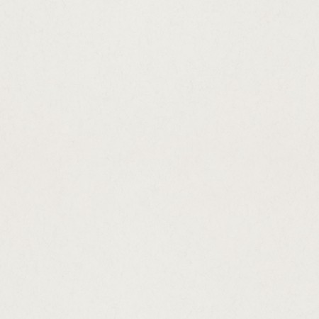 Bild på Äggskal - 77019