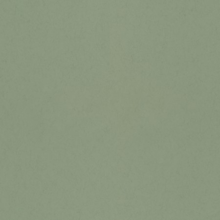 Bild på Salvia - 77006