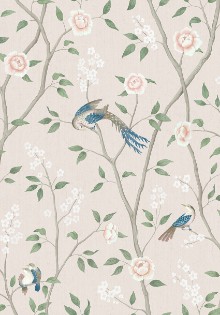 Imagem de Paradise Birds - 4270