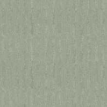 Slika Bay Leaf - 4333