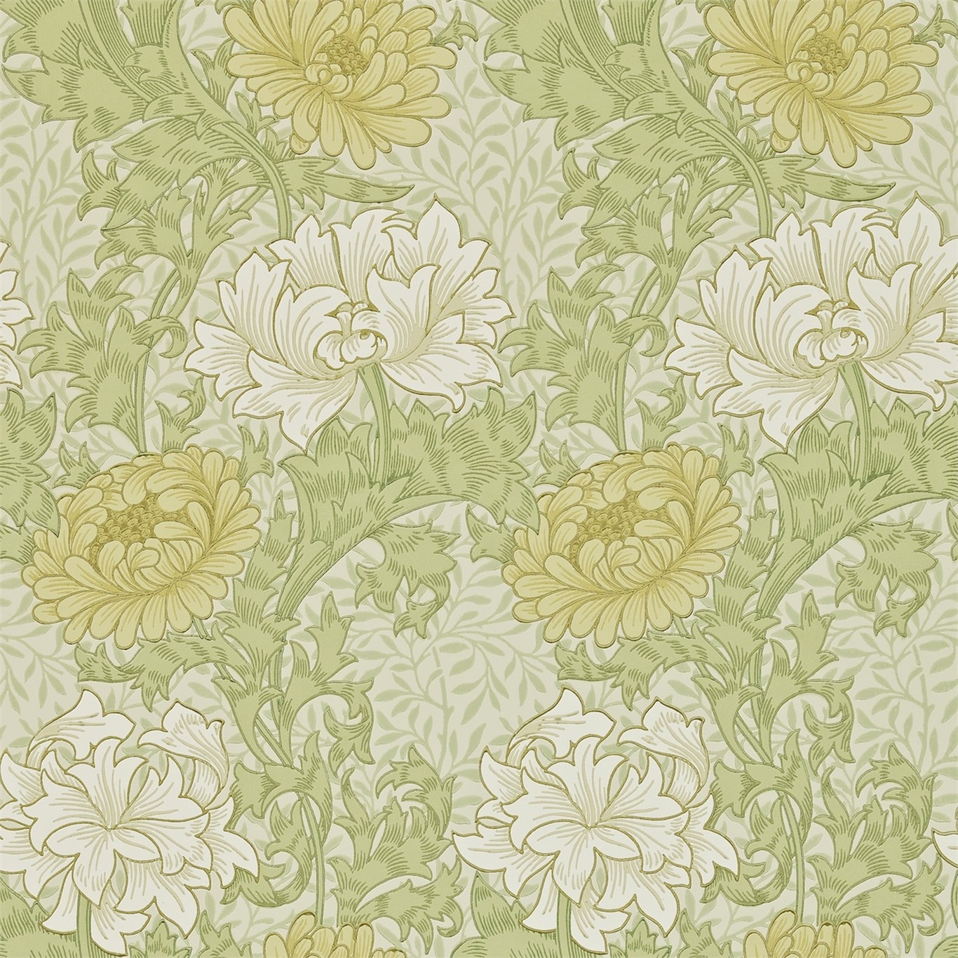 Снимка на Chrysanthemum Pale Olive - 212545