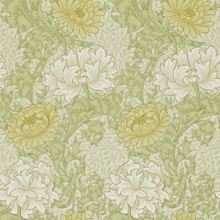 Εικόνα της Chrysanthemum Pale Olive - 212545