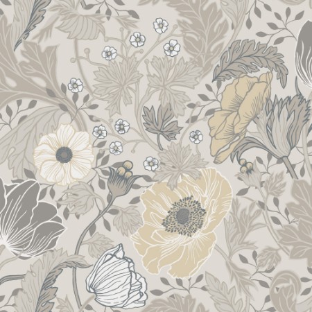 Obrázek Anemone - 34033