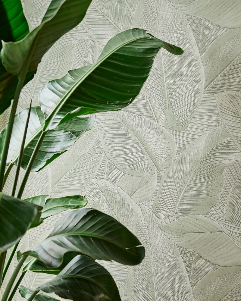 Picture of Inspire - 221172