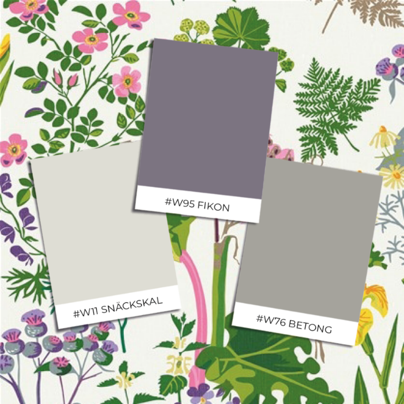 Image de Rabarber - 1792