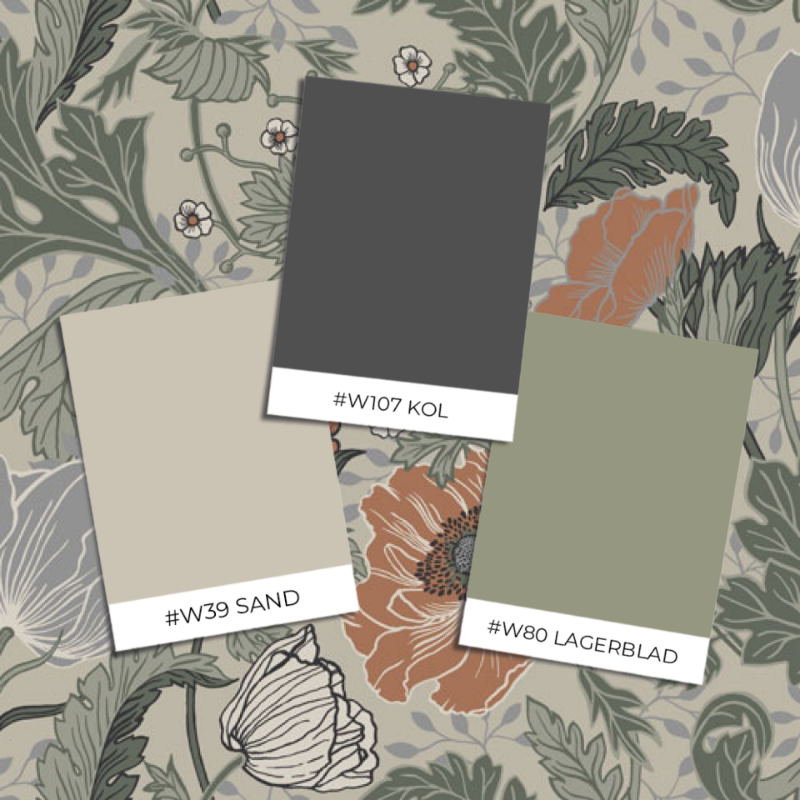 Immagine di Anemone - 33001