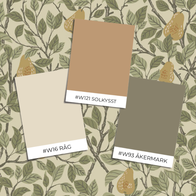 Ritratt ta’ Pirum - 13102