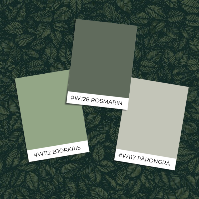 Picture of Amorina - 1771