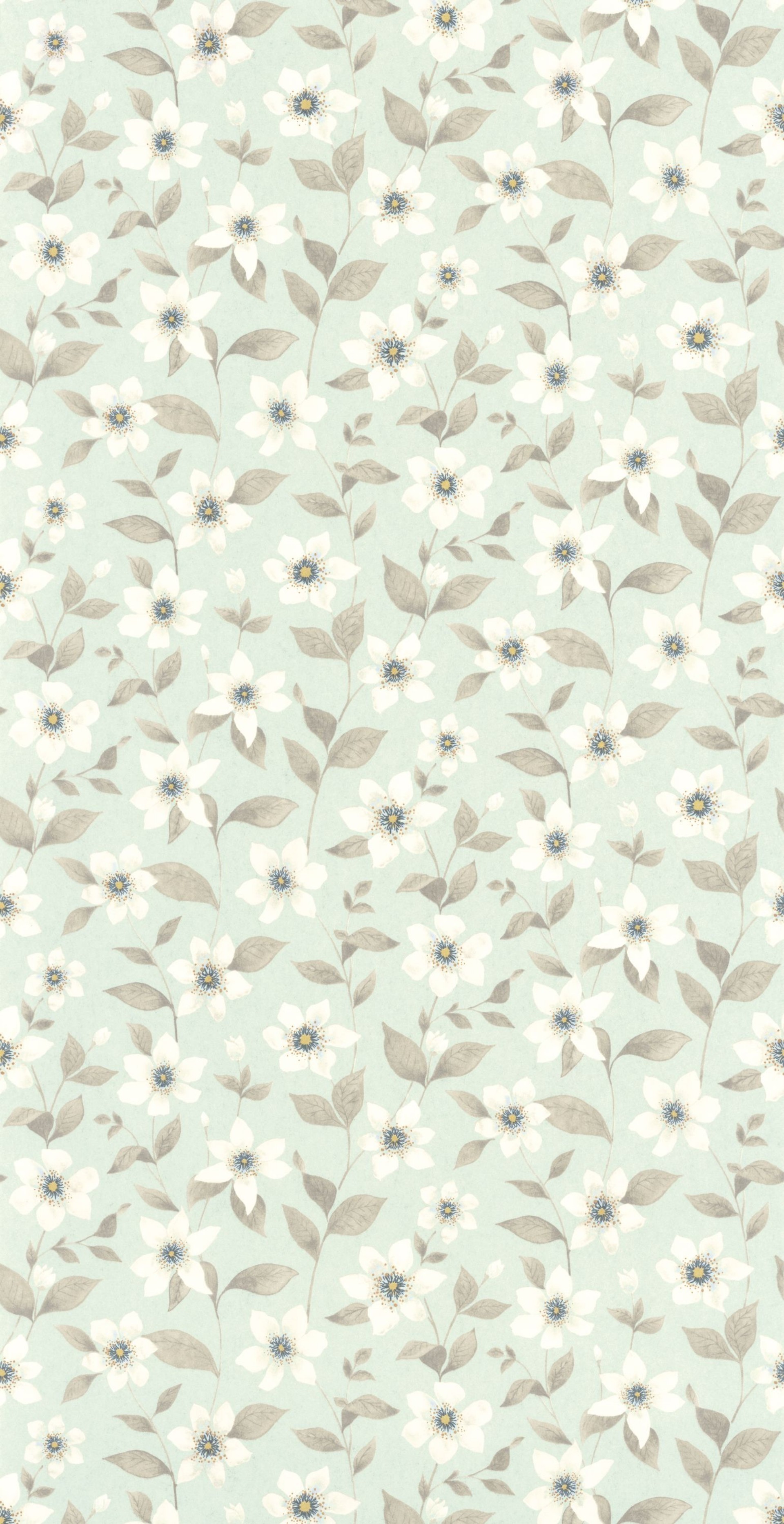 Bild von Clematites Bleu Grise - 87646120