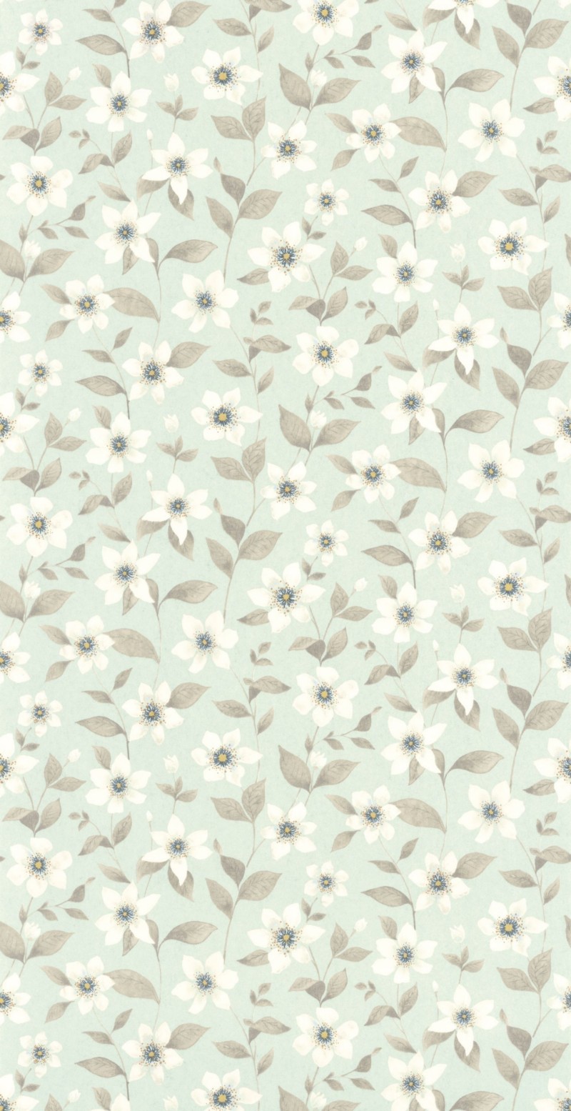 Bild på Clematites Bleu Grise - 87646120