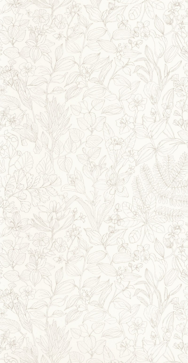 Image de Esquisse Beige Lin - 87591056