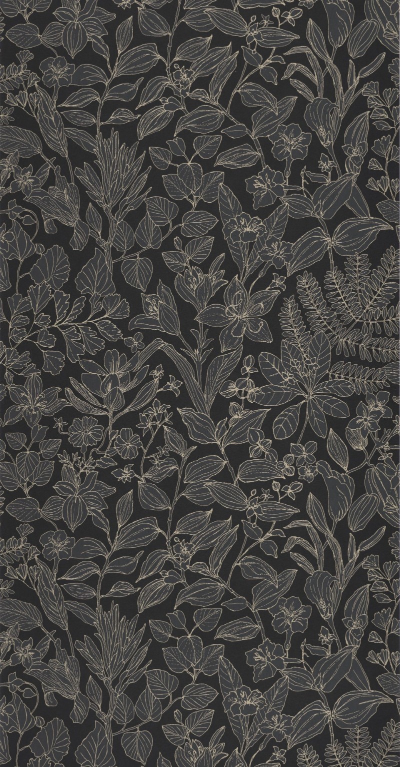 Bild von Esquisse Noir Fusain - 87599910