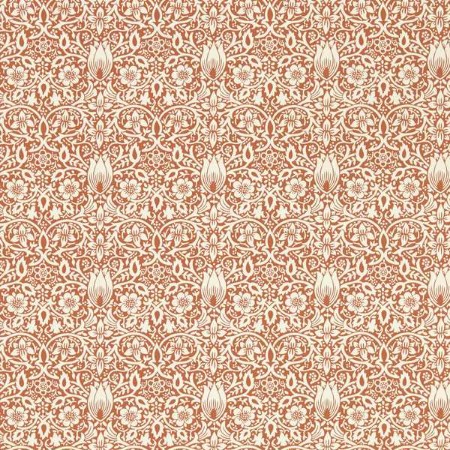 Bild på Borage Red House - MEWW217196