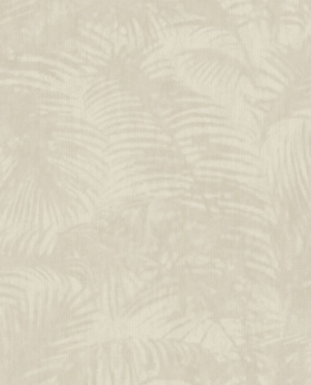 Bild på Oasis - 317300