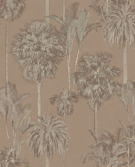 Bild på Oasis - 317323