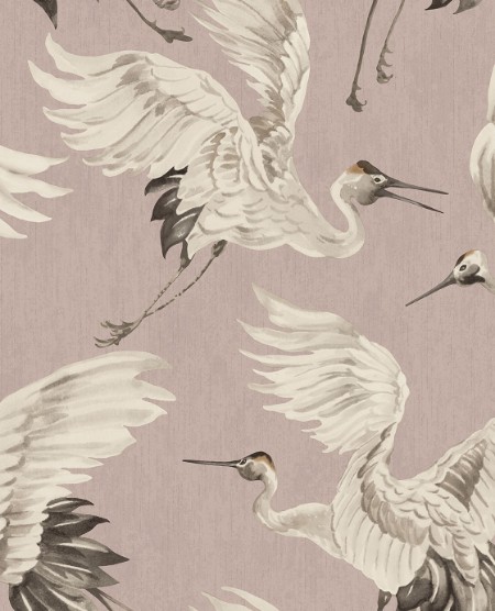 Bild på Oasis - 317352