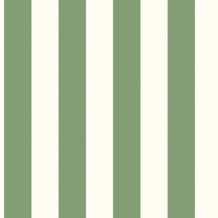 Bild på Awning Stripe - G45401