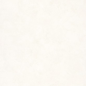 Picture of Patine Uni Beige Clair - PAI100221256