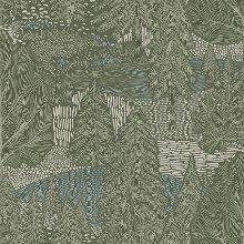 Picture of Northern Forest - 4702