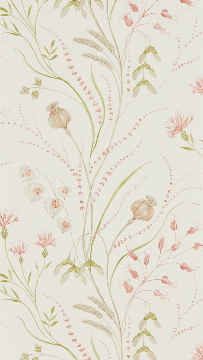 Obrazek Summer Harvest Claret/Olive - DEBB216495