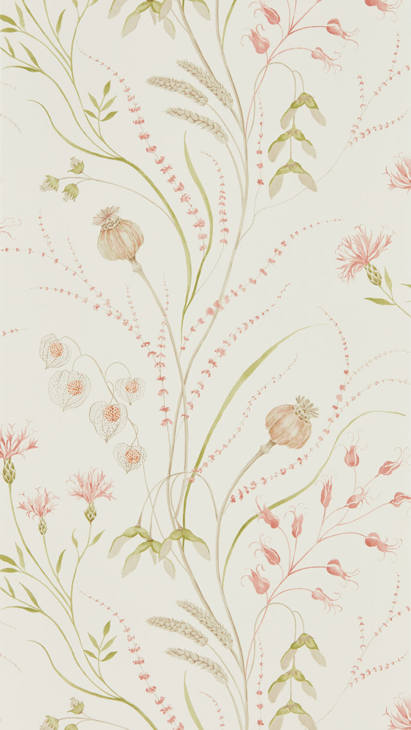 Kép Summer Harvest Claret/Olive - DEBB216495