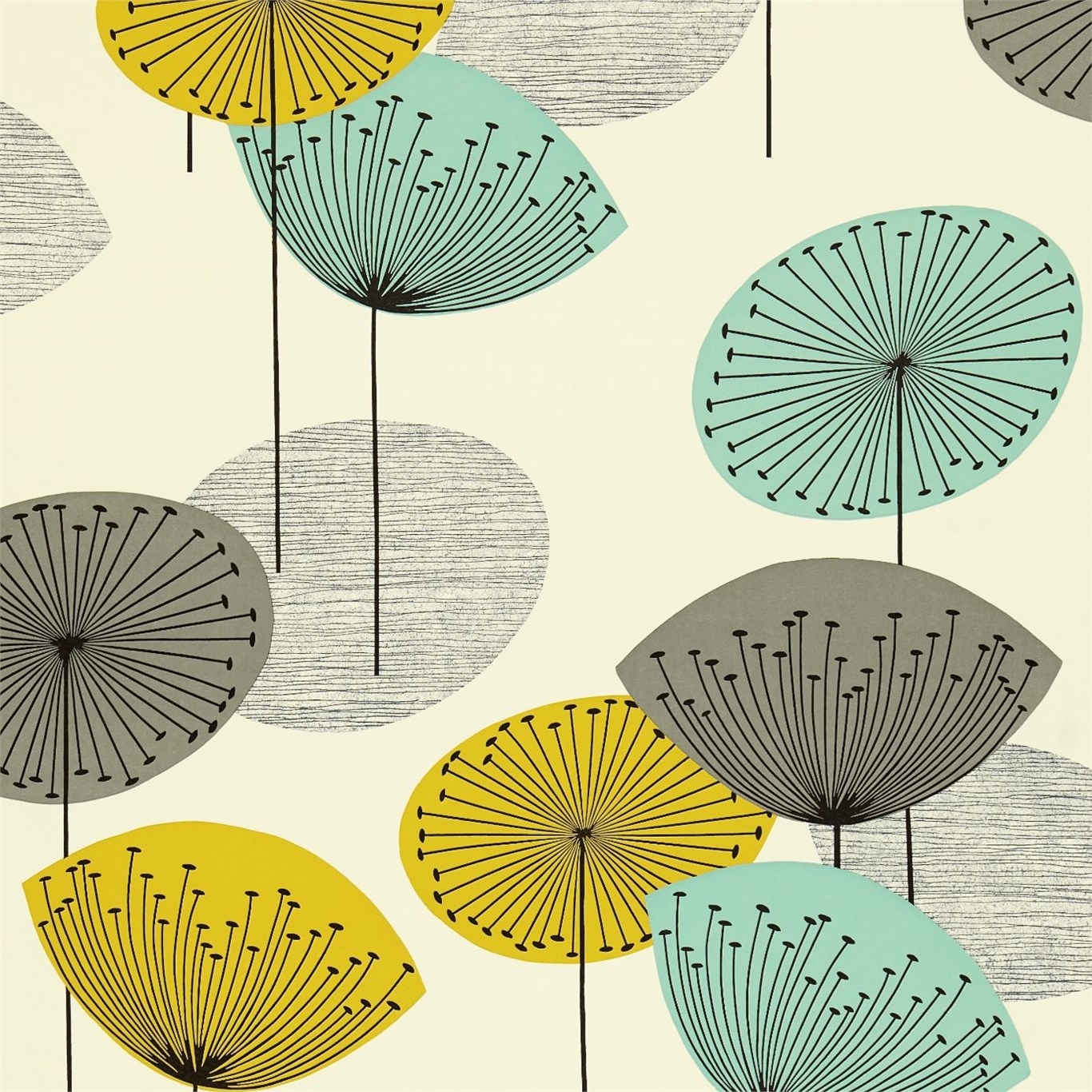 Bild von Dandelion Clocks - DOPWDA104