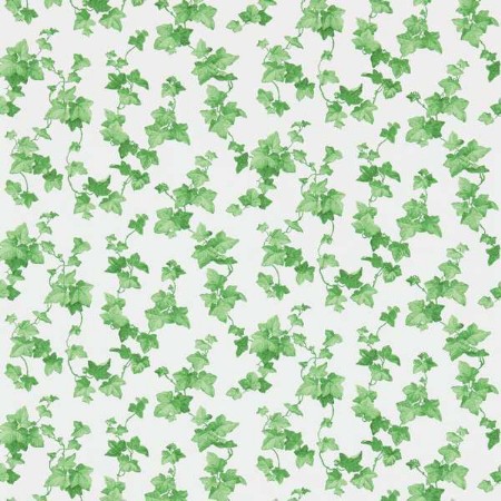 Bild på Hedera Green - DVIN214593