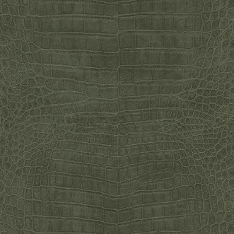 Bild på Serengeti - 751352