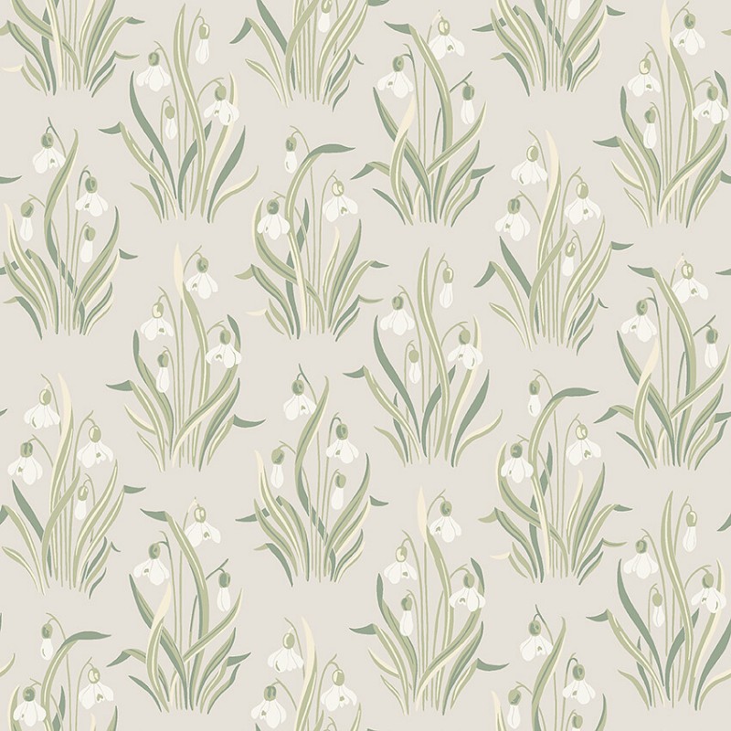 Bild vun Snödroppe - 4835