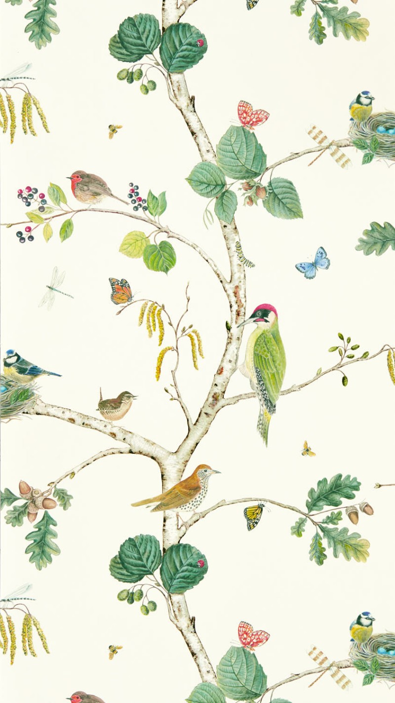 Bild von Woodland Chorus Botanical/Multi - DABW217230
