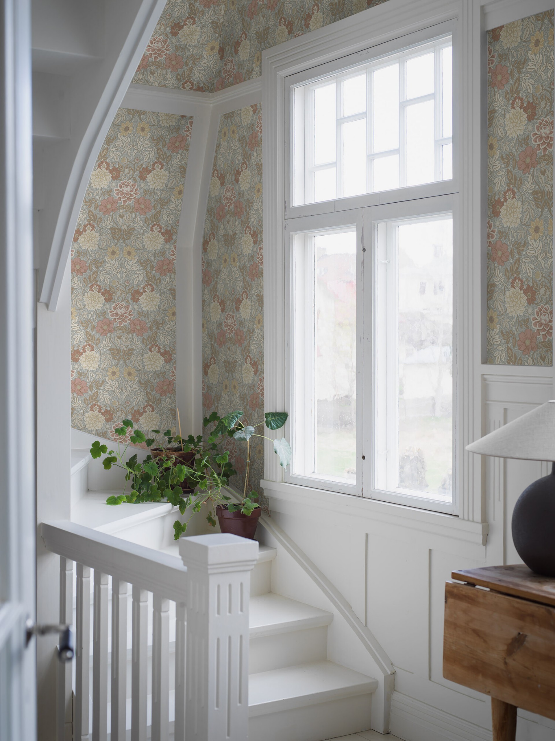 Picture of Dahlia Garden - 7692