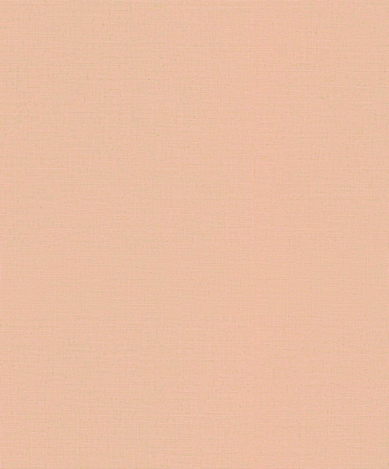 Ritratt ta’ Casual Chic - 10262-23